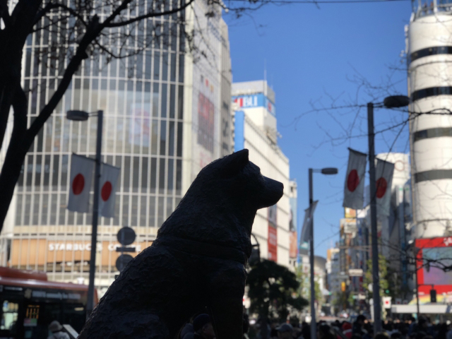 渋谷 忠犬ハチ公像 | デートの印象まで決まる！女性が安心できる待ち合わせ場所BEST5 | 高級交際クラブTen Carat「10カラットコラム」